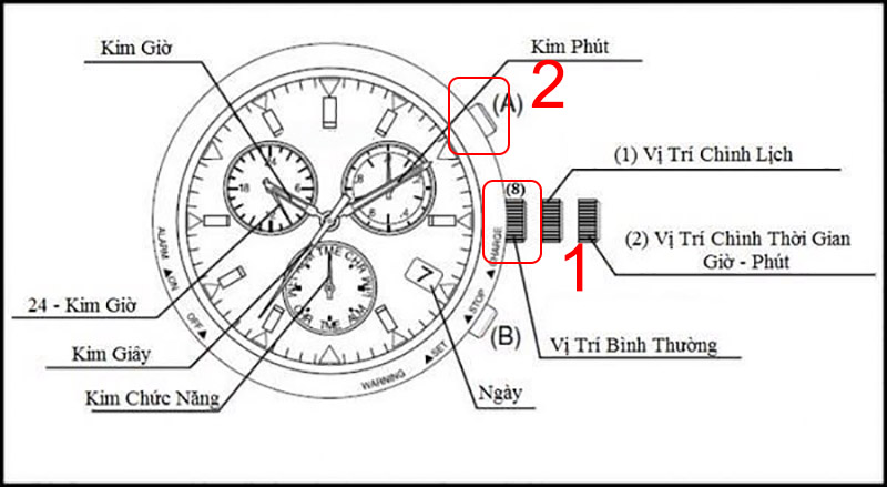 Vặn nhẹ nút giữa kim giờ tự động quay đến đúng giờ hiện tại
